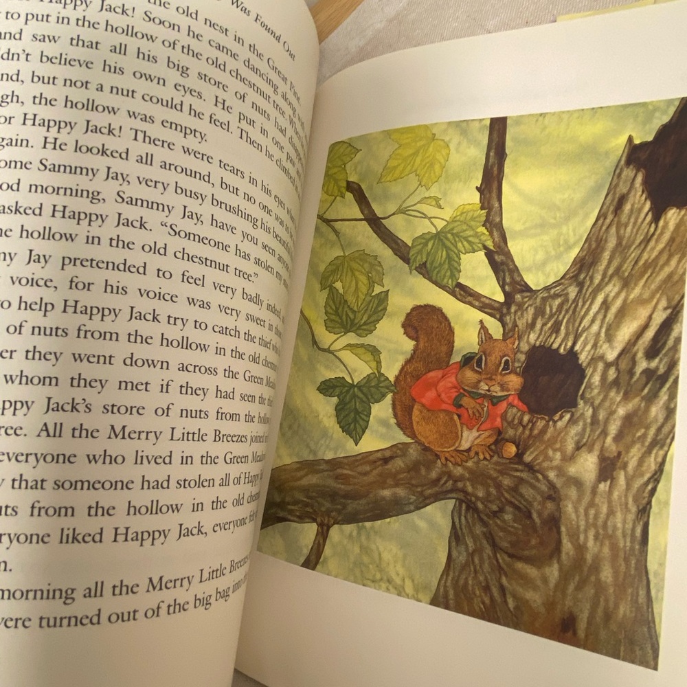 Old Mother West Wind Book vintage kids book Thornton W Burgess Michael Hague 90s - Picture 13 of 17